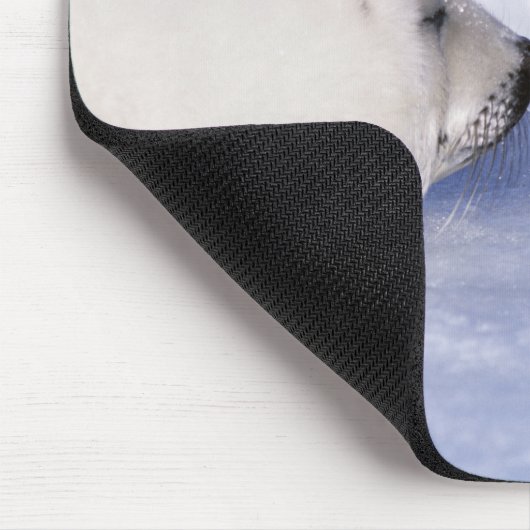 Tapis De Souris Harpe Seal Mère avec levure (Coin)