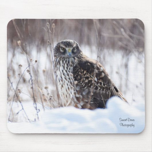 Tapis De Souris Harrier du Nord (Devant)