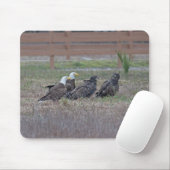 Tapis De Souris Harriet M15 E10 et E11 (Avec souris)