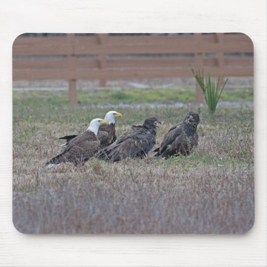 Tapis De Souris Harriet M15 E10 et E11 (Devant)