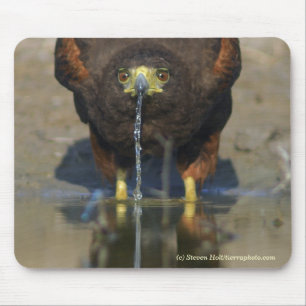 Tapis De Souris Harris assoiffé colportent