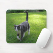 Tapis De Souris Harrypad 1 (Avec souris)