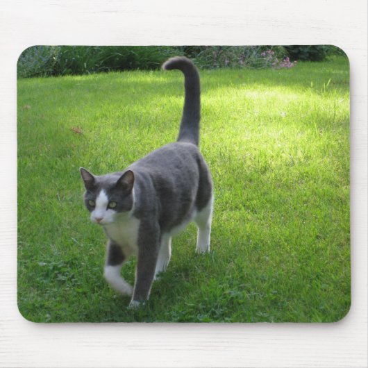 Tapis De Souris Harrypad 1 (Devant)