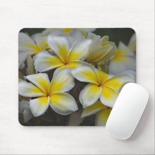 Tapis De Souris Hawaii Beauty : La photographie de la Plumeria cap