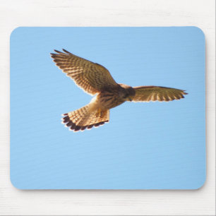 Tapis De Souris Hawk en vol