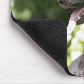 Tapis De Souris Headshot 2 de berger allemand (Coin)