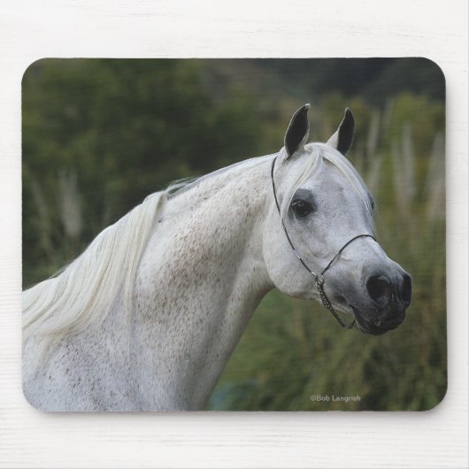 Tapis De Souris Headshot arabe 1 de cheval (Devant)