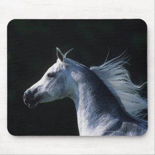 Tapis De Souris Headshot arabe 2 de cheval