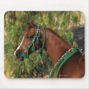 Tapis De Souris Headshot arabe de cheval avec le frein