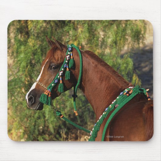 Tapis De Souris Headshot arabe de cheval avec le frein (Devant)