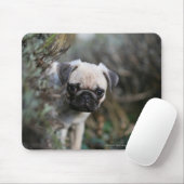Tapis De Souris Headshot de chiot de carlin de faon (Avec souris)