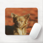 Tapis De Souris Headshot de chiot de chiwawa (Avec souris)