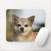 Tapis De Souris Headshot de chiwawa (Avec souris)