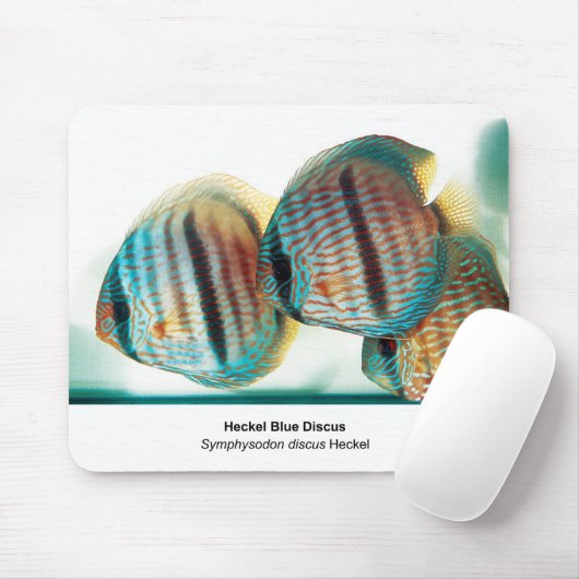 Tapis De Souris Heckel Blue Discusのマウスパッド (Avec souris)