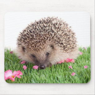 Tapis De Souris hedgehog,