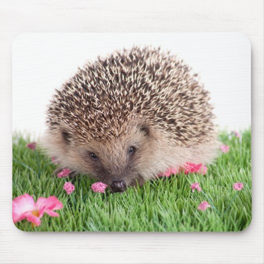 Tapis De Souris hedgehog, (Devant)