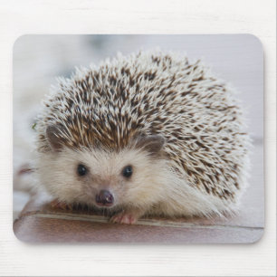 Tapis De Souris Hedgehog
