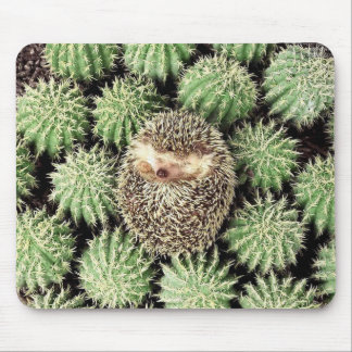 Tapis De Souris Hedgehog Mousepad