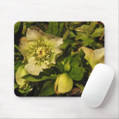Tapis De Souris Hellebore de rose Lenten (Avec souris)