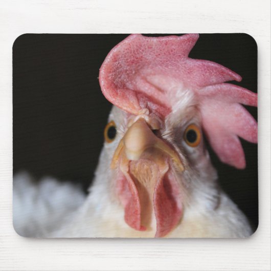 Tapis De Souris Hen (Devant)
