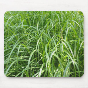 Tapis De Souris herbe