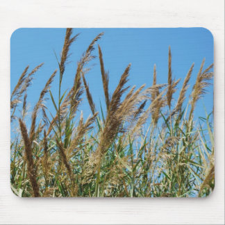Tapis De Souris Herbe tubulaire sur un lac