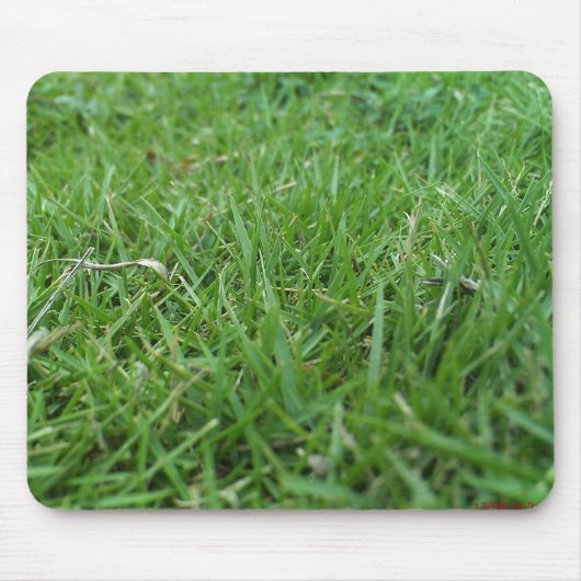 tapis de souris herbeux (Devant)