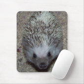 Tapis De Souris Hérisson (Avec souris)