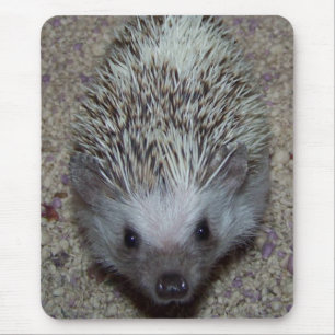Tapis De Souris Hérisson