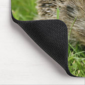 Tapis De Souris Hérisson Mousepad (Coin)