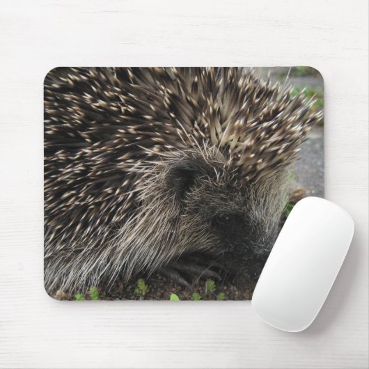 Tapis De Souris Hérisson Mousepad (Avec souris)