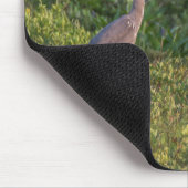 Tapis De Souris Héron bleu (Coin)