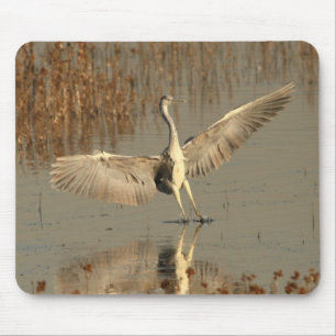 Tapis De Souris Héron gris