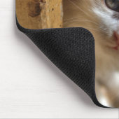 Tapis De Souris Heterochromie Calico Kitten (Coin)