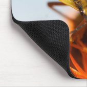 Tapis De Souris Hétéroptère (Coin)