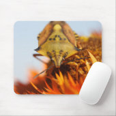 Tapis De Souris Hétéroptère (Avec souris)
