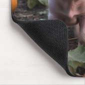 Tapis De Souris Heureux Comme Un Cochon Bébé Dans Un Patch Citroui (Coin)