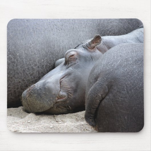 Tapis de souris heureux d'hippopotame (Devant)