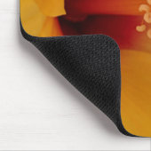 Tapis De Souris Hibiscus (Coin)