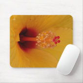 Tapis De Souris Hibiscus (Avec souris)