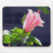 Tapis De Souris Hibiscus au soleil clair (Devant)