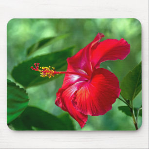 Tapis De Souris Hibiscus Blossom
