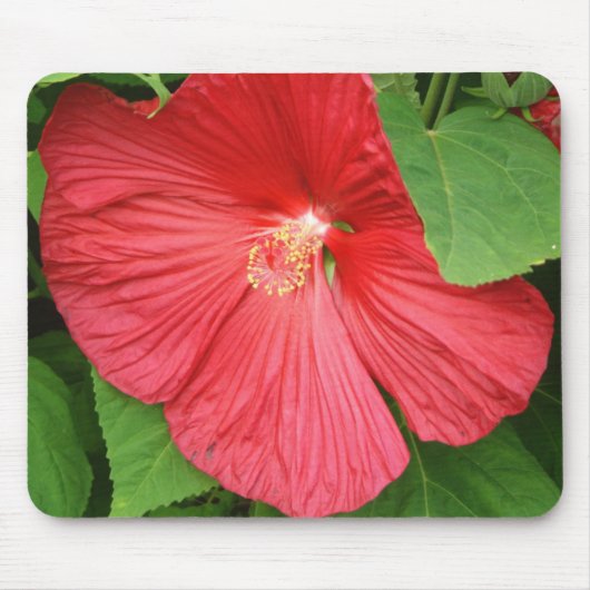 Tapis De Souris Hibiscus Flower Bright Magenta (Devant)