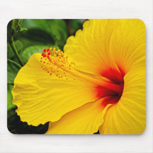 Tapis De Souris Hibiscus jaune vif (Devant)