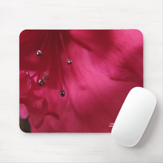 Tapis De Souris Hibiscus Mousepad (Avec souris)