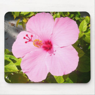 Tapis De Souris Hibiscus rose Fleur tropicale