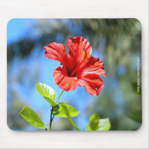 Tapis De Souris Hibiscus rouge
