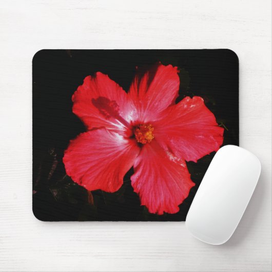 Tapis De Souris Hibiscus rouge (Avec souris)