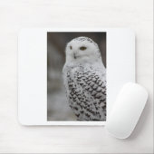 Tapis De Souris Hibou (Avec souris)