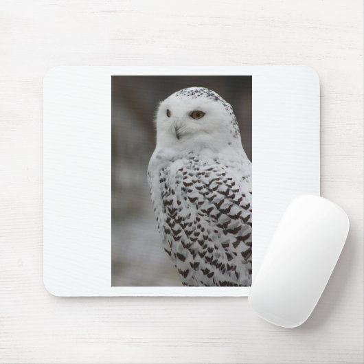Tapis De Souris Hibou (Avec souris)